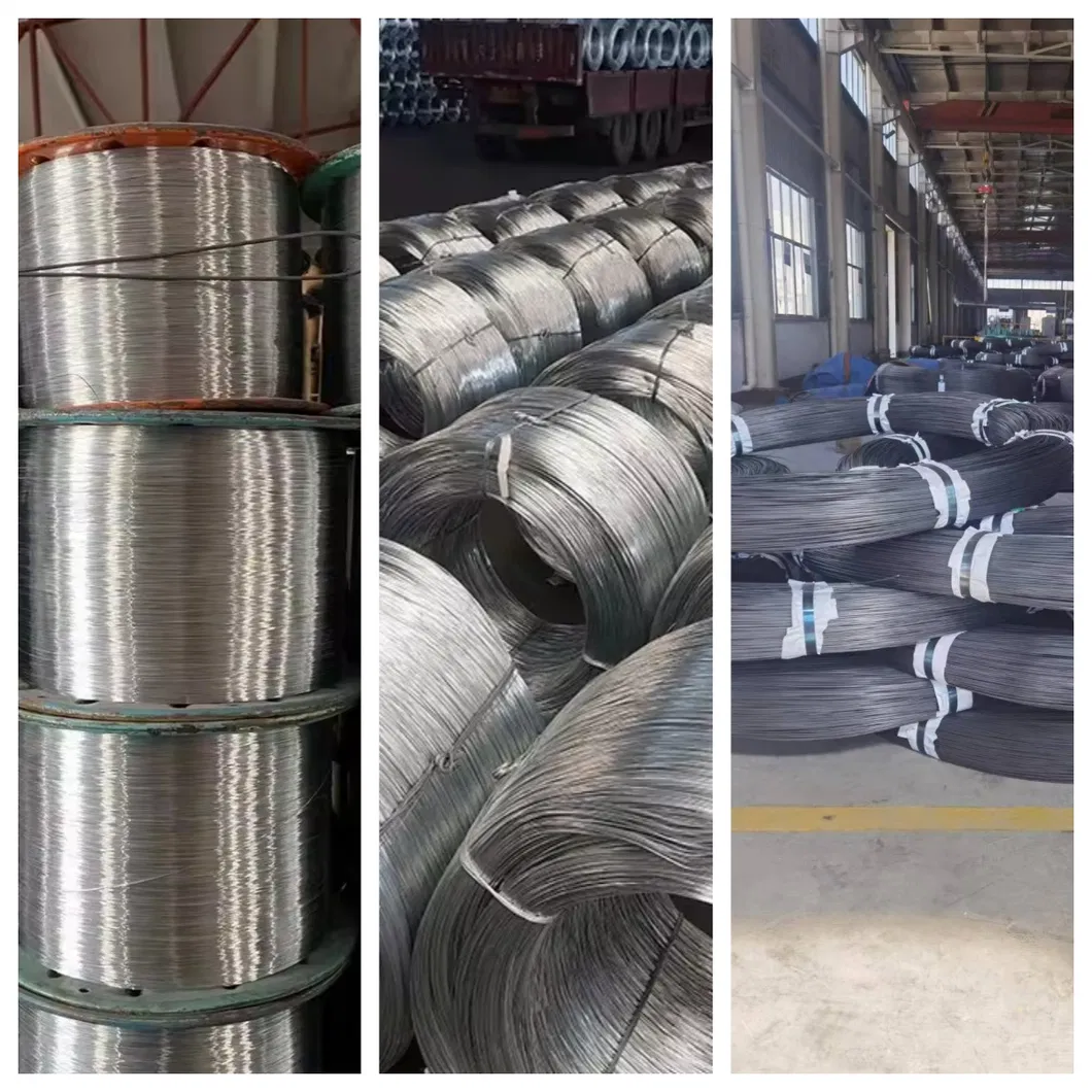 Customized Q235 Q195 3mm 4mm Low Carbon Steel Wire Rod