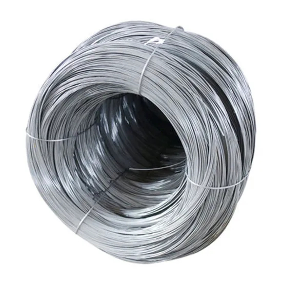 ASTM AISI Ss Wire SUS 0.1mm-3mm 316 304 Stainless Steel Wire